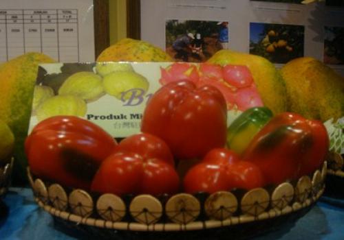Pameran Pembangunan 201111