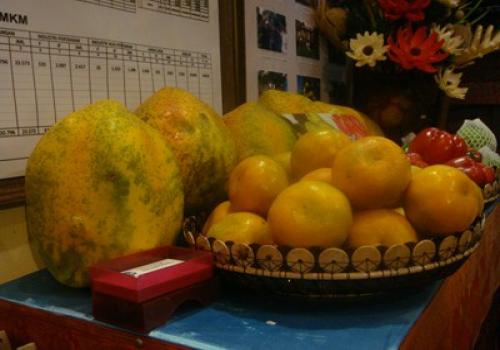 Pameran Pembangunan 201113